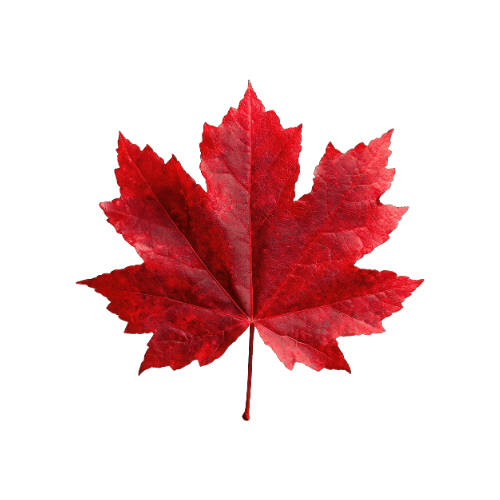 Canada maple leaf
